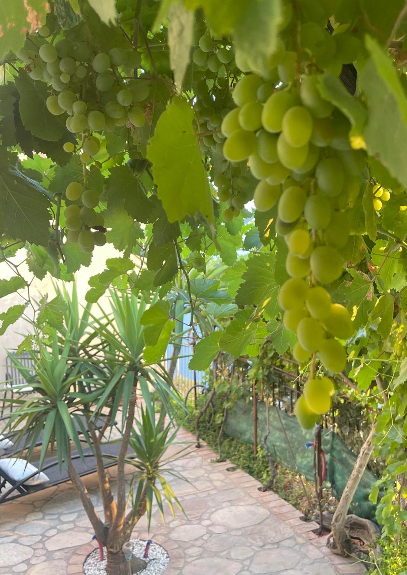 The Secret Garden Villa Forza d'Agro Exterior photo
